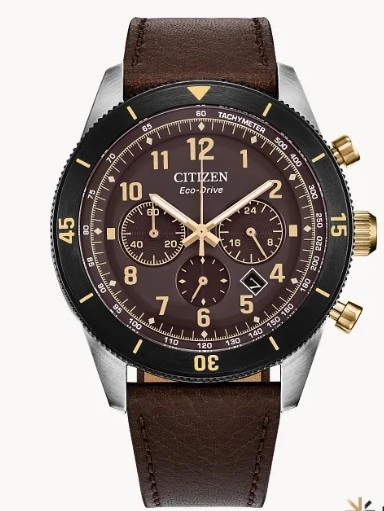 Watches  -  Womens